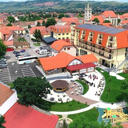 Hotel Leul De Aur Sebeş Zewnętrze zdjęcie