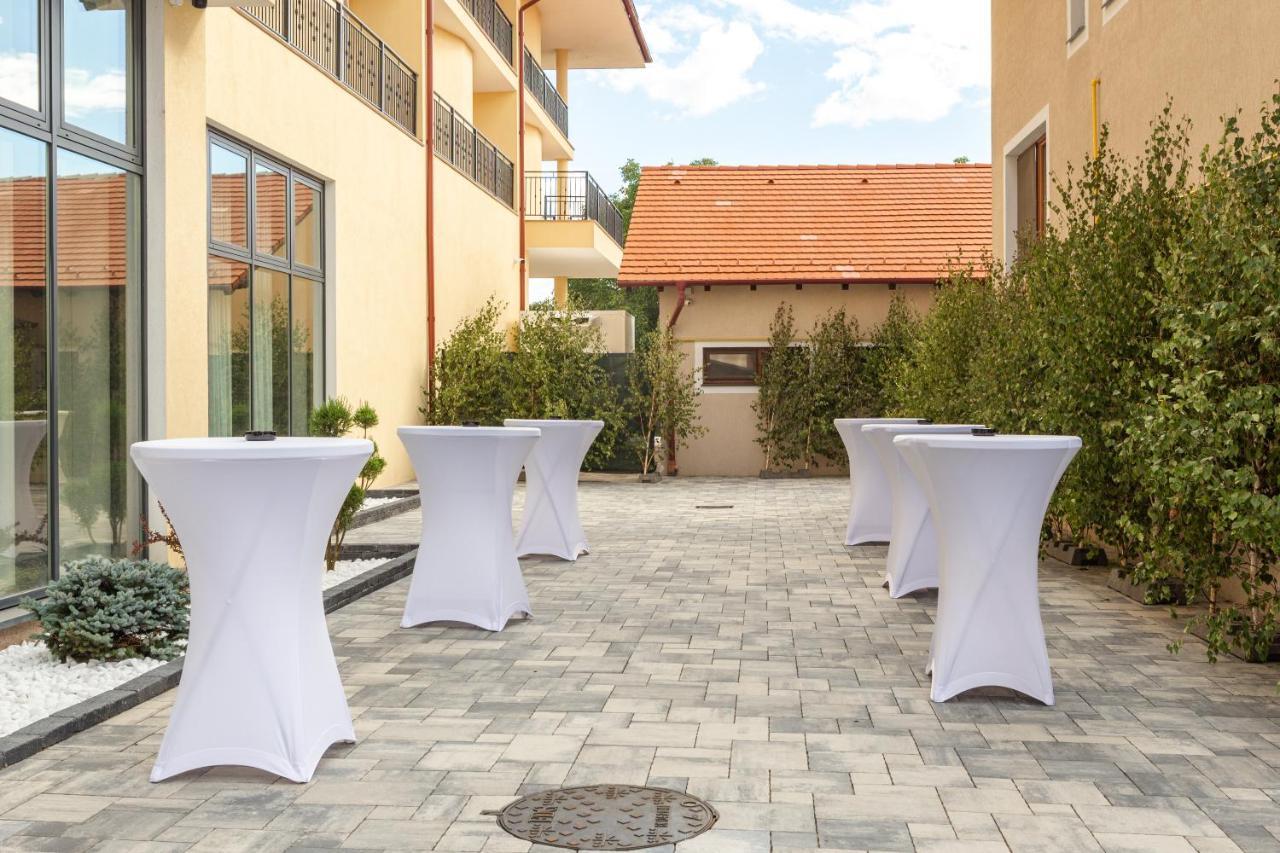 Hotel Leul De Aur Sebeş Zewnętrze zdjęcie