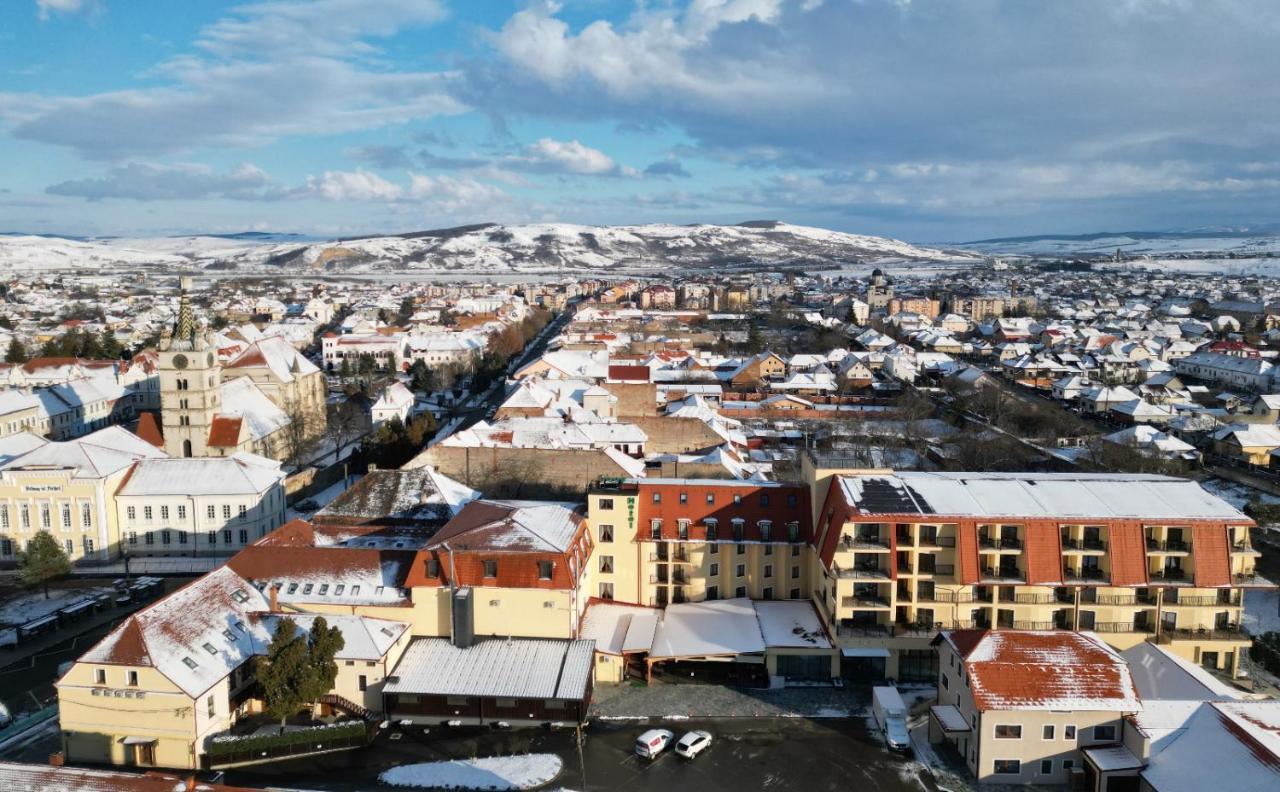 Hotel Leul De Aur Sebeş Zewnętrze zdjęcie
