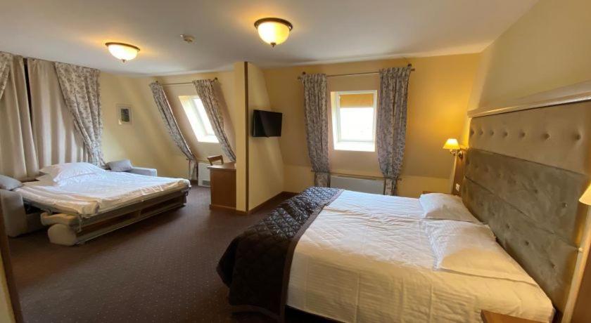 Hotel Leul De Aur Sebeş Zewnętrze zdjęcie