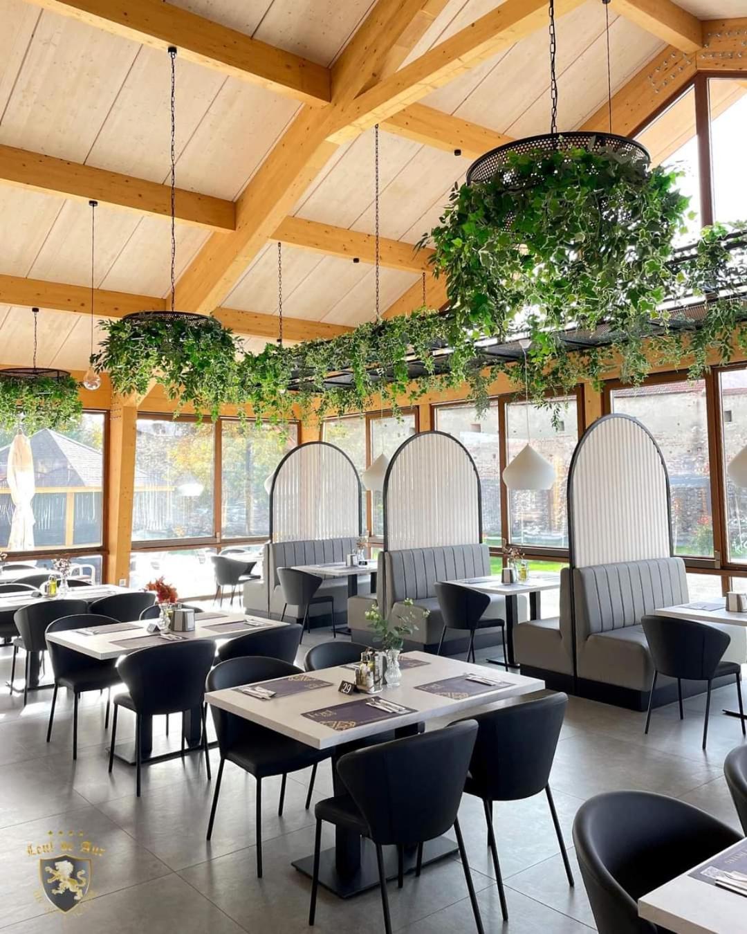 Hotel Leul De Aur Sebeş Zewnętrze zdjęcie
